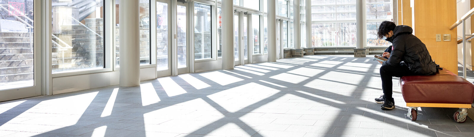 A student sits on a padded bench with natural light streaming into the room from two walls of windows.