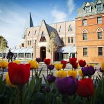 Tulips outside Sage Hall in spring.